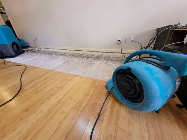 Professional Structural Drying technician working in Ghent, WV